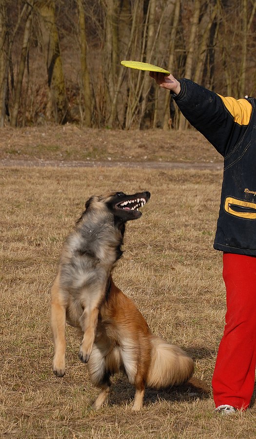 DSC_7401.jpg