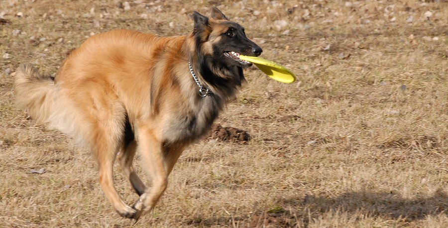 DSC_7405.jpg