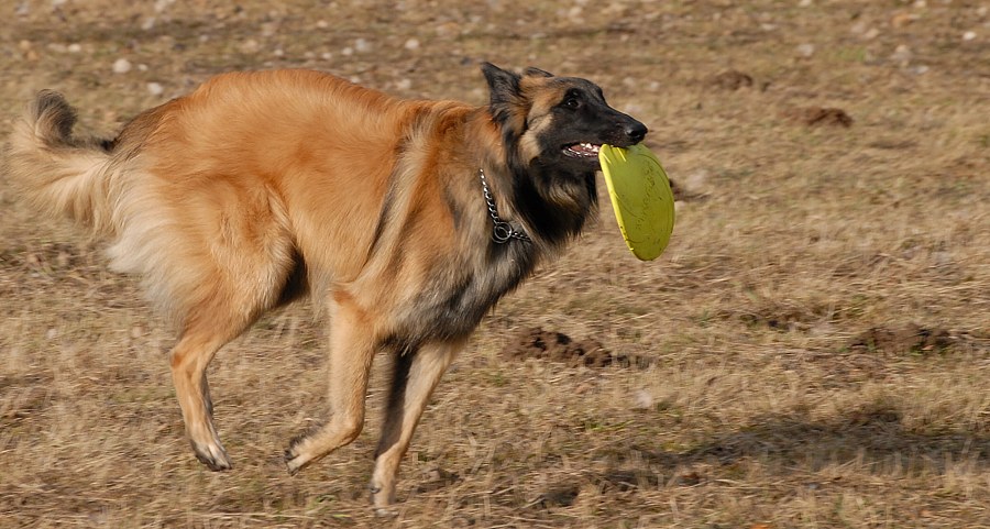 DSC_7407.jpg