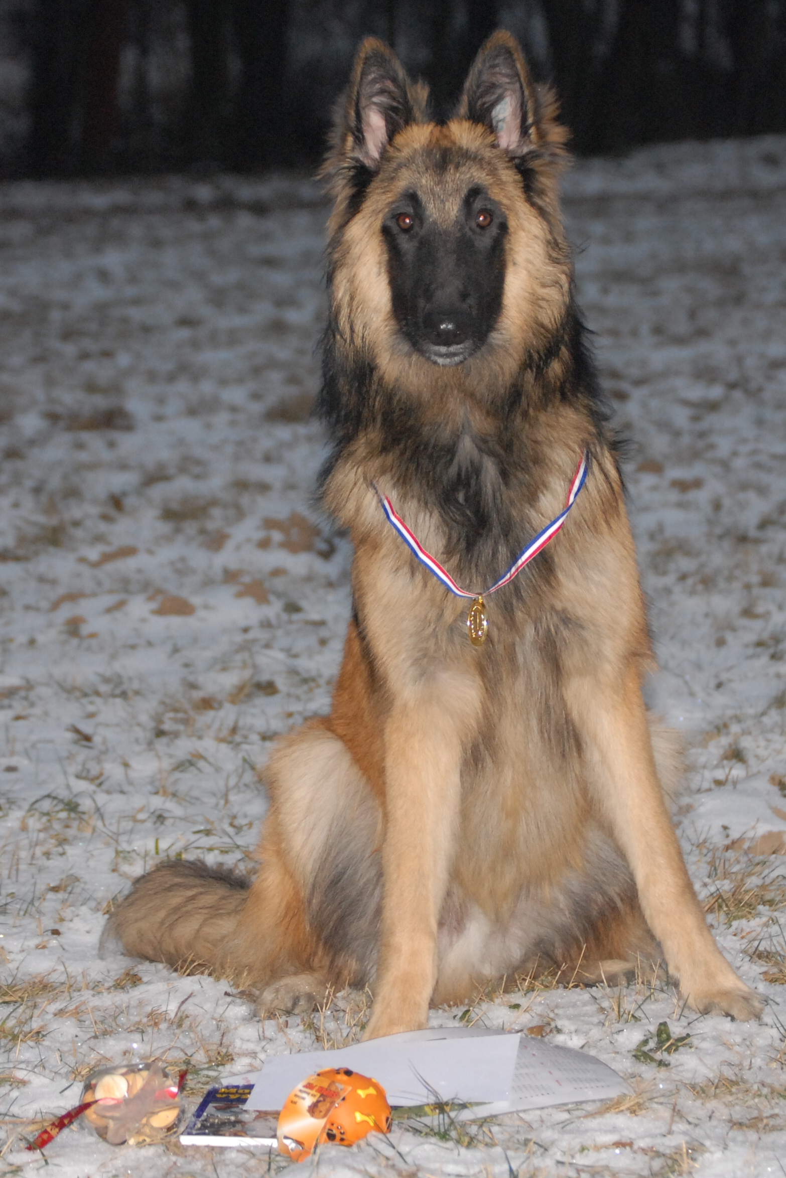 DSC_6130.jpg